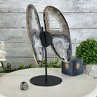 Natural Brazilian Agate "Butterfly Wings", 11" Tall #5050NA-113 - Brazil GemsBrazil GemsNatural Brazilian Agate "Butterfly Wings", 11" Tall #5050NA-113Agate Butterfly Wings5050NA-113