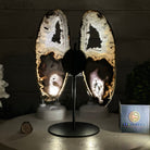 Natural Brazilian Agate "Butterfly Wings", 11" Tall #5050NA-113 - Brazil GemsBrazil GemsNatural Brazilian Agate "Butterfly Wings", 11" Tall #5050NA-113Agate Butterfly Wings5050NA-113