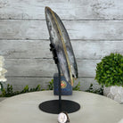 Natural Brazilian Agate "Butterfly Wings", 11" Tall #5050NA-113 - Brazil GemsBrazil GemsNatural Brazilian Agate "Butterfly Wings", 11" Tall #5050NA-113Agate Butterfly Wings5050NA-113