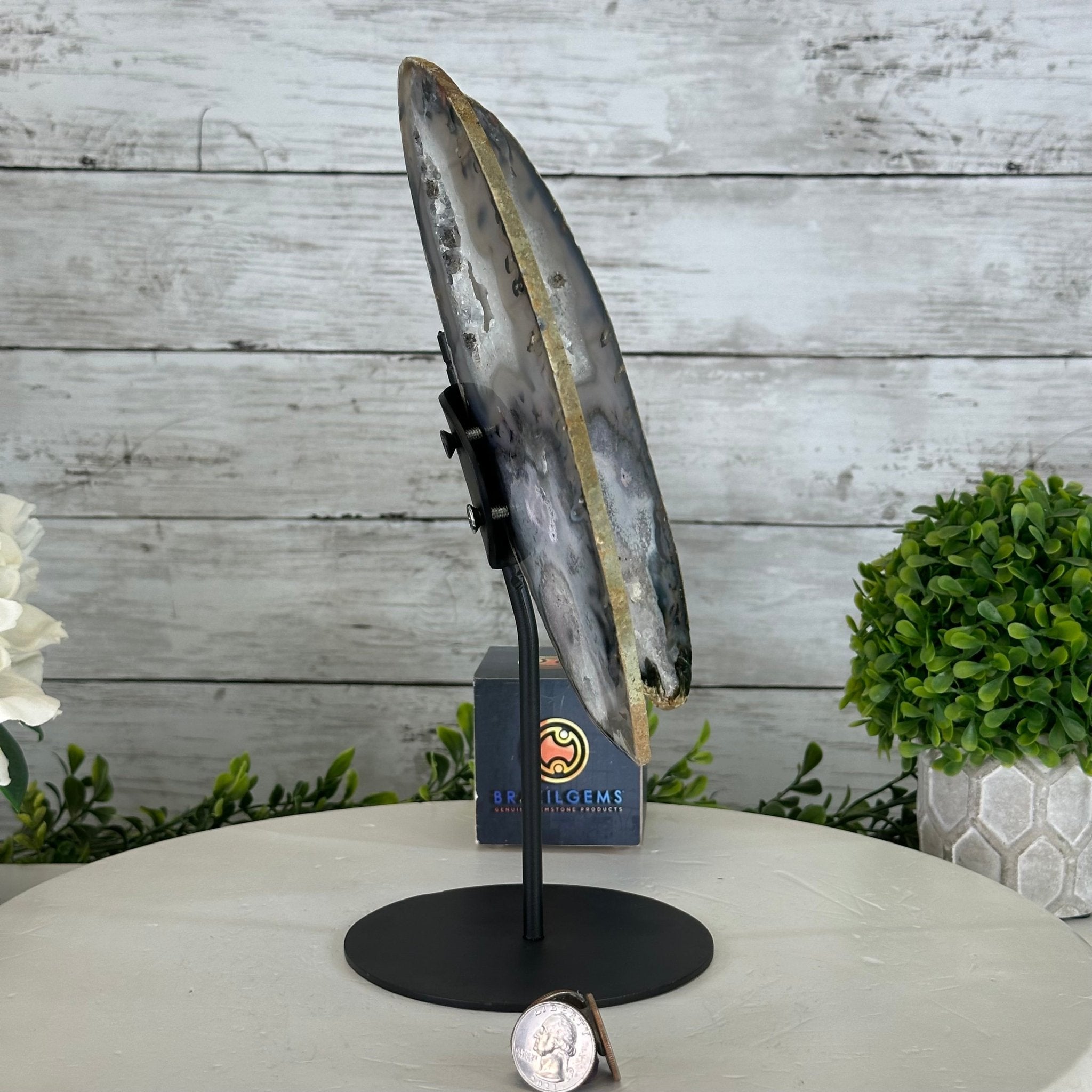 Natural Brazilian Agate "Butterfly Wings", 11" Tall #5050NA-113 - Brazil GemsBrazil GemsNatural Brazilian Agate "Butterfly Wings", 11" Tall #5050NA-113Agate Butterfly Wings5050NA-113