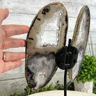 Natural Brazilian Agate "Butterfly Wings", 11" Tall #5050NA-113 - Brazil GemsBrazil GemsNatural Brazilian Agate "Butterfly Wings", 11" Tall #5050NA-113Agate Butterfly Wings5050NA-113