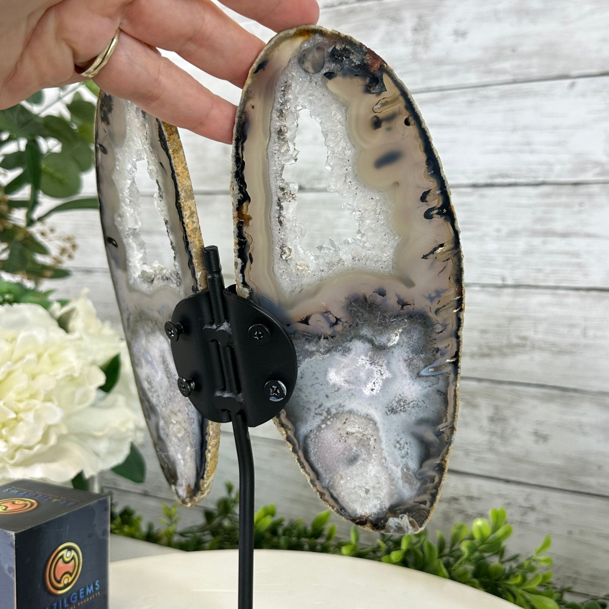 Natural Brazilian Agate "Butterfly Wings", 11" Tall #5050NA-113 - Brazil GemsBrazil GemsNatural Brazilian Agate "Butterfly Wings", 11" Tall #5050NA-113Agate Butterfly Wings5050NA-113