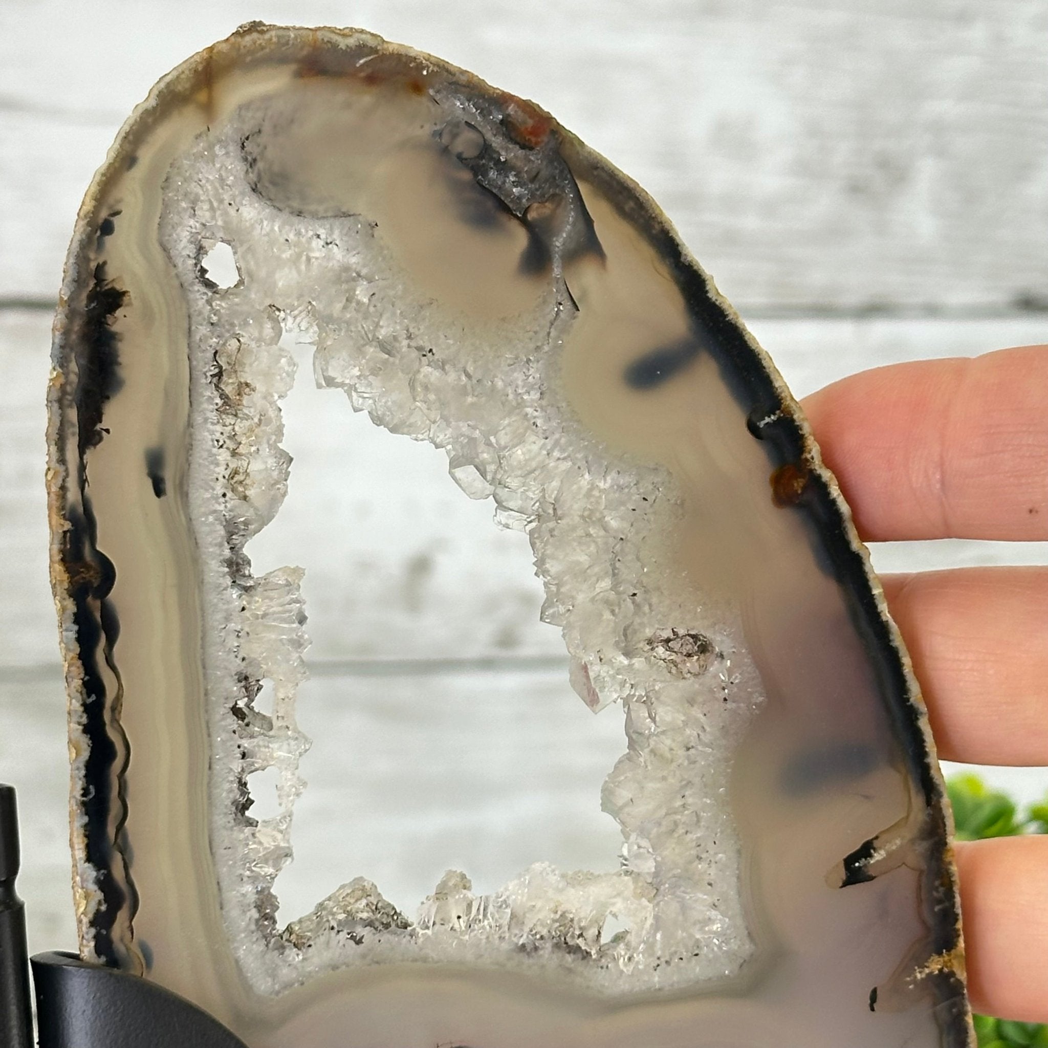 Natural Brazilian Agate "Butterfly Wings", 11" Tall #5050NA-113 - Brazil GemsBrazil GemsNatural Brazilian Agate "Butterfly Wings", 11" Tall #5050NA-113Agate Butterfly Wings5050NA-113