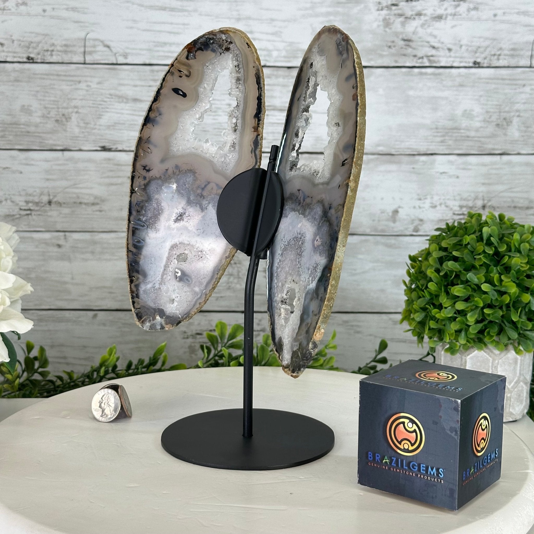 Natural Brazilian Agate "Butterfly Wings", 11" Tall #5050NA-113 - Brazil GemsBrazil GemsNatural Brazilian Agate "Butterfly Wings", 11" Tall #5050NA-113Agate Butterfly Wings5050NA-113
