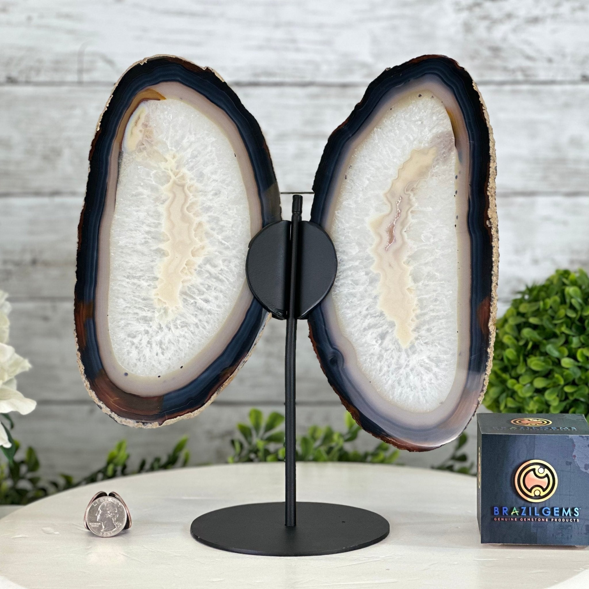 Natural Brazilian Agate "Butterfly Wings", 11.1" Tall #5050NA-131 - Brazil GemsBrazil GemsNatural Brazilian Agate "Butterfly Wings", 11.1" Tall #5050NA-131Agate Butterfly Wings5050NA-131