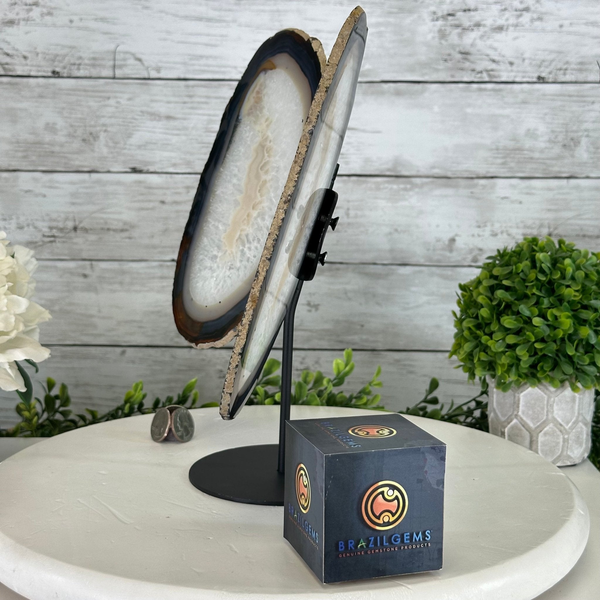 Natural Brazilian Agate "Butterfly Wings", 11.1" Tall #5050NA-131 - Brazil GemsBrazil GemsNatural Brazilian Agate "Butterfly Wings", 11.1" Tall #5050NA-131Agate Butterfly Wings5050NA-131