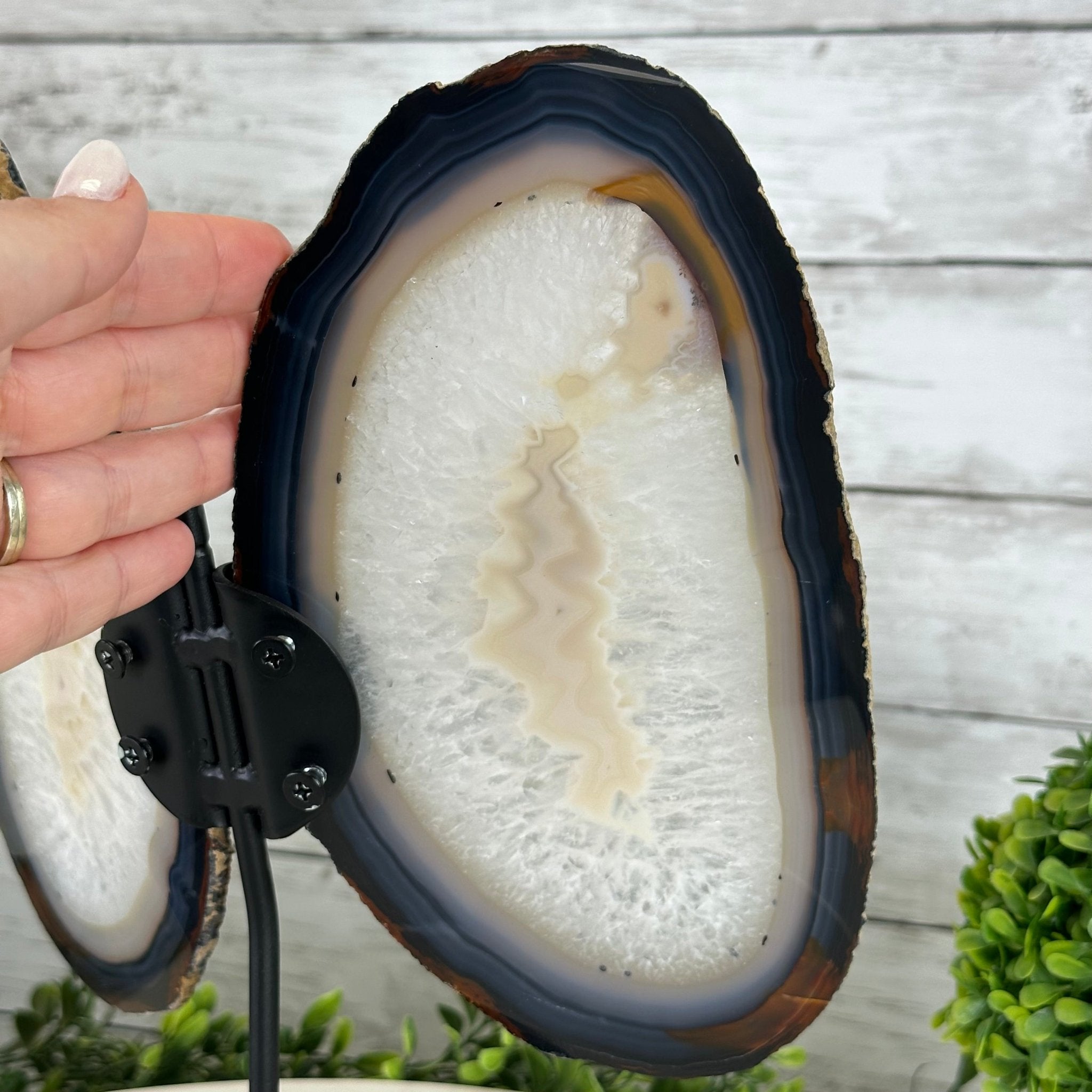 Natural Brazilian Agate "Butterfly Wings", 11.1" Tall #5050NA-131 - Brazil GemsBrazil GemsNatural Brazilian Agate "Butterfly Wings", 11.1" Tall #5050NA-131Agate Butterfly Wings5050NA-131
