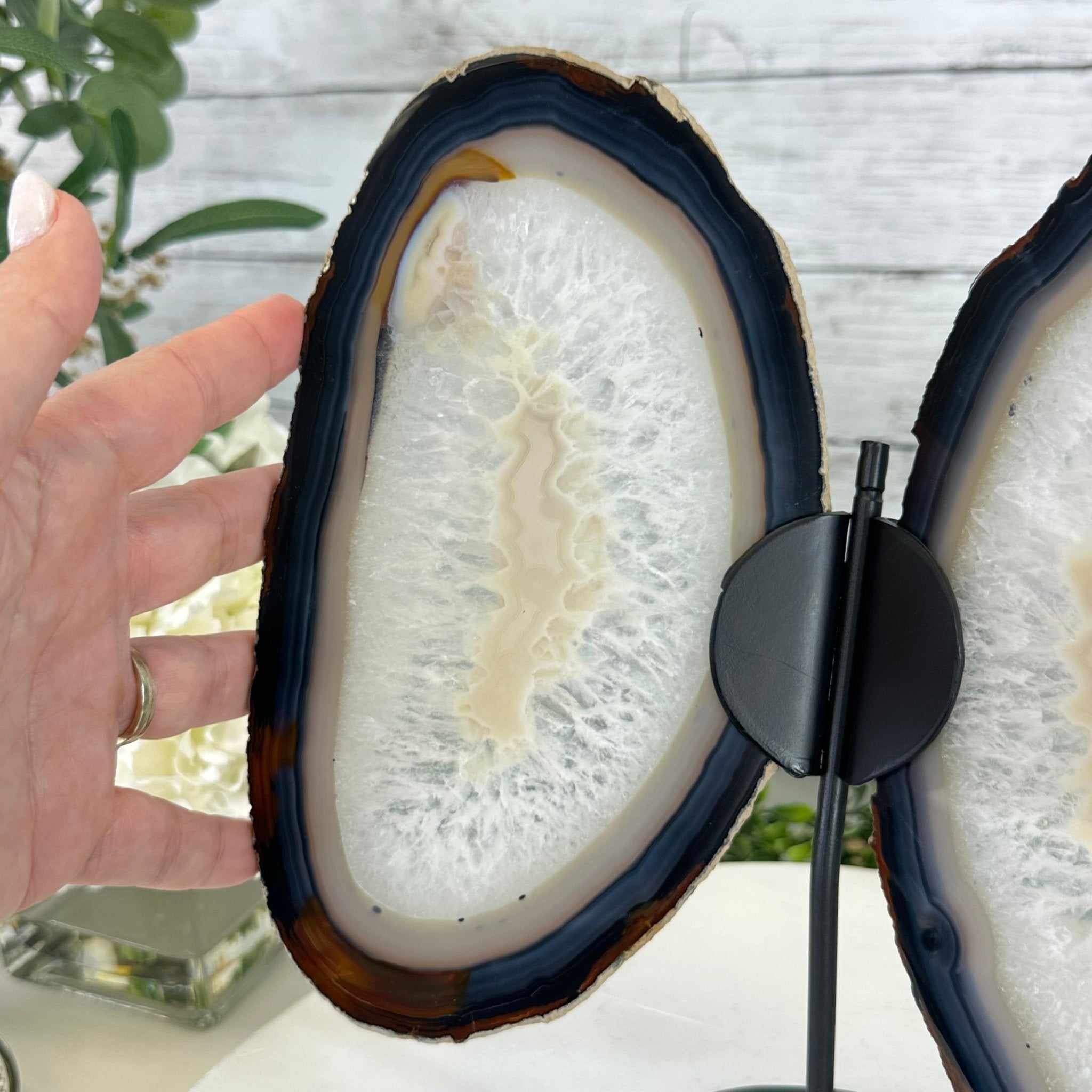 Natural Brazilian Agate "Butterfly Wings", 11.1" Tall #5050NA-131 - Brazil GemsBrazil GemsNatural Brazilian Agate "Butterfly Wings", 11.1" Tall #5050NA-131Agate Butterfly Wings5050NA-131