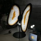 Natural Brazilian Agate "Butterfly Wings", 11.1" Tall #5050NA-131 - Brazil GemsBrazil GemsNatural Brazilian Agate "Butterfly Wings", 11.1" Tall #5050NA-131Agate Butterfly Wings5050NA-131