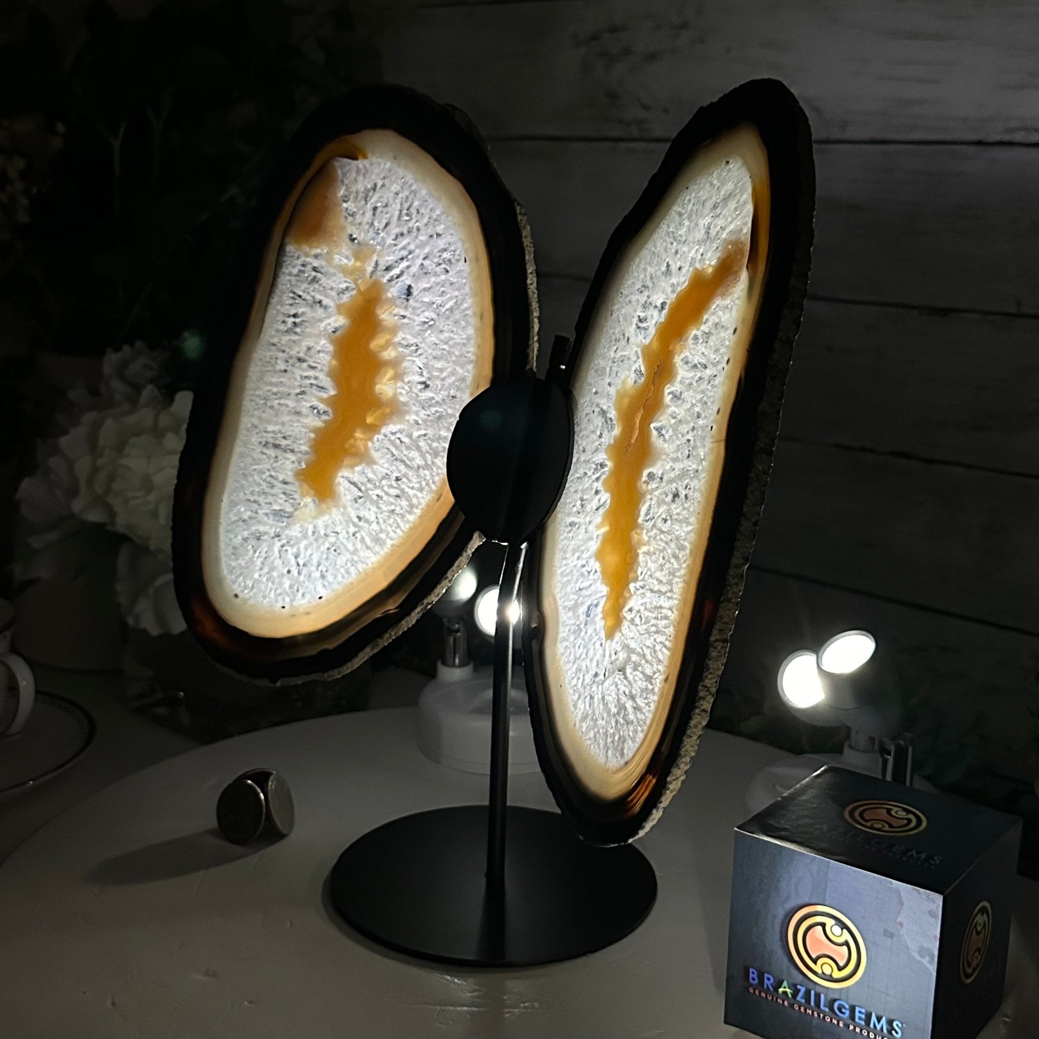 Natural Brazilian Agate "Butterfly Wings", 11.1" Tall #5050NA-131 - Brazil GemsBrazil GemsNatural Brazilian Agate "Butterfly Wings", 11.1" Tall #5050NA-131Agate Butterfly Wings5050NA-131
