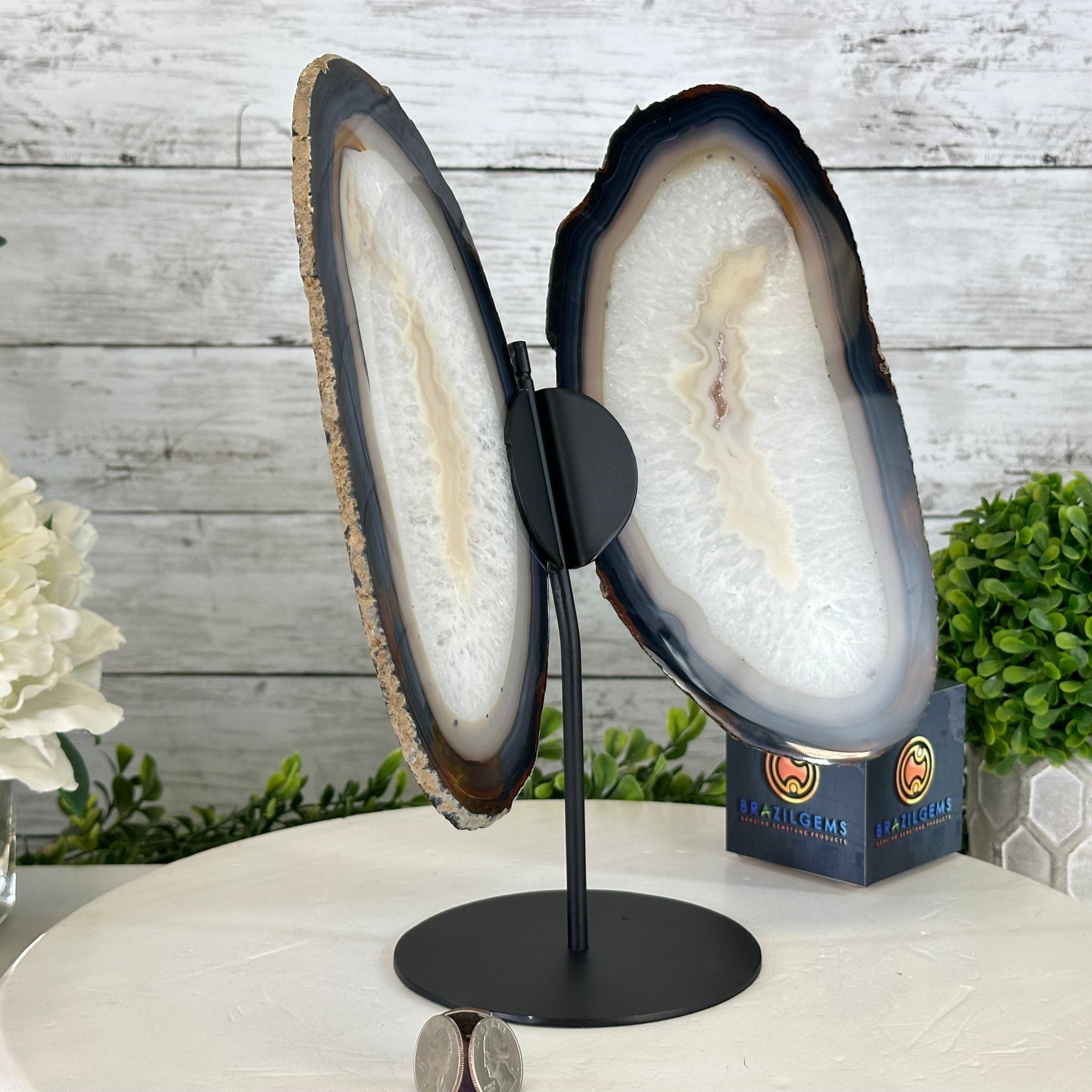 Natural Brazilian Agate "Butterfly Wings", 11.1" Tall #5050NA-131 - Brazil GemsBrazil GemsNatural Brazilian Agate "Butterfly Wings", 11.1" Tall #5050NA-131Agate Butterfly Wings5050NA-131