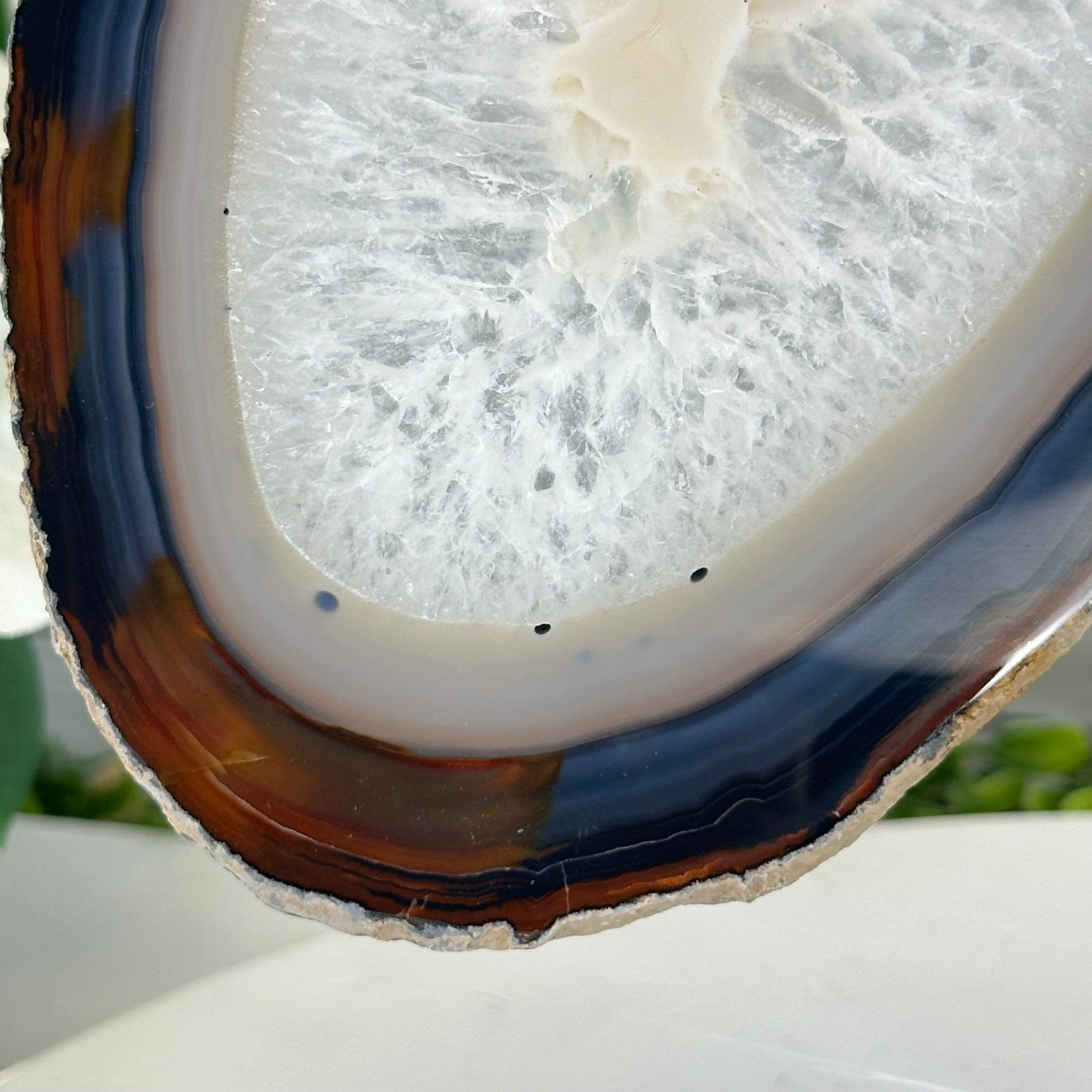 Natural Brazilian Agate "Butterfly Wings", 11.1" Tall #5050NA-131 - Brazil GemsBrazil GemsNatural Brazilian Agate "Butterfly Wings", 11.1" Tall #5050NA-131Agate Butterfly Wings5050NA-131