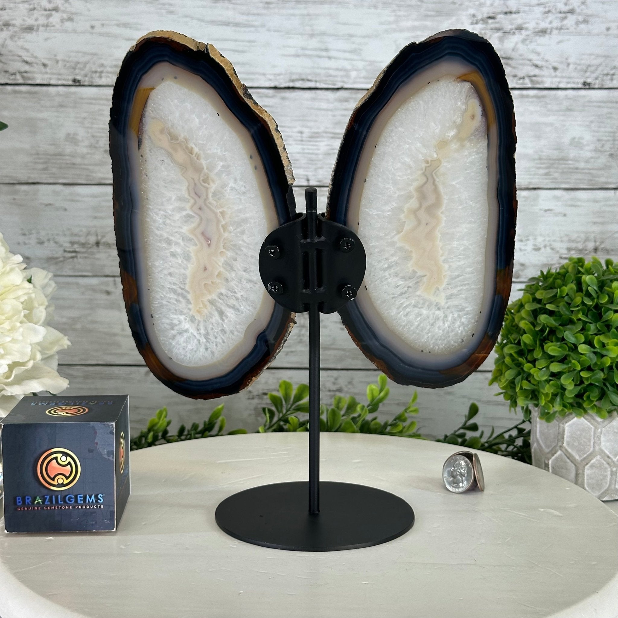 Natural Brazilian Agate "Butterfly Wings", 11.1" Tall #5050NA-131 - Brazil GemsBrazil GemsNatural Brazilian Agate "Butterfly Wings", 11.1" Tall #5050NA-131Agate Butterfly Wings5050NA-131