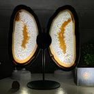 Natural Brazilian Agate "Butterfly Wings", 11.1" Tall #5050NA-131 - Brazil GemsBrazil GemsNatural Brazilian Agate "Butterfly Wings", 11.1" Tall #5050NA-131Agate Butterfly Wings5050NA-131