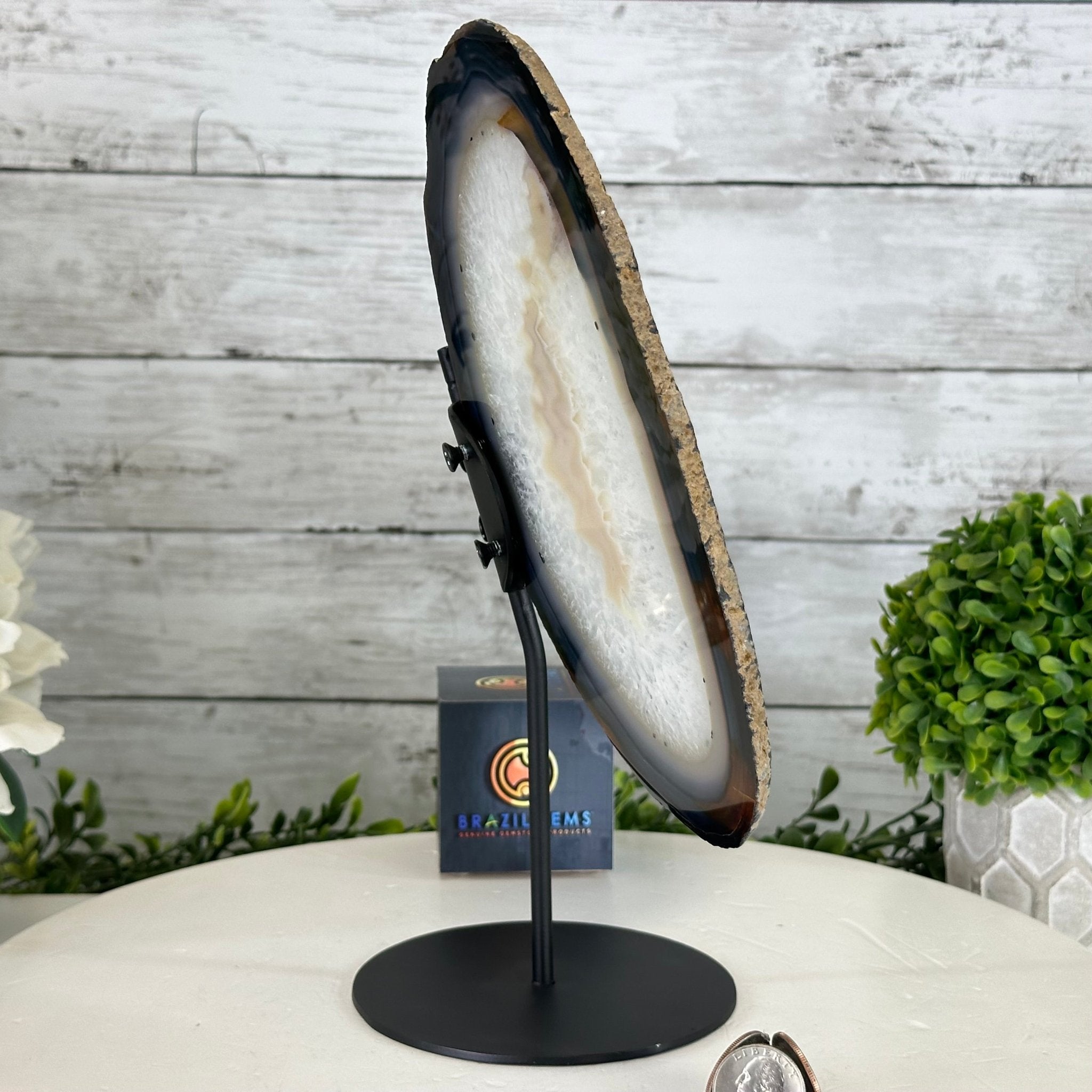 Natural Brazilian Agate "Butterfly Wings", 11.1" Tall #5050NA-131 - Brazil GemsBrazil GemsNatural Brazilian Agate "Butterfly Wings", 11.1" Tall #5050NA-131Agate Butterfly Wings5050NA-131