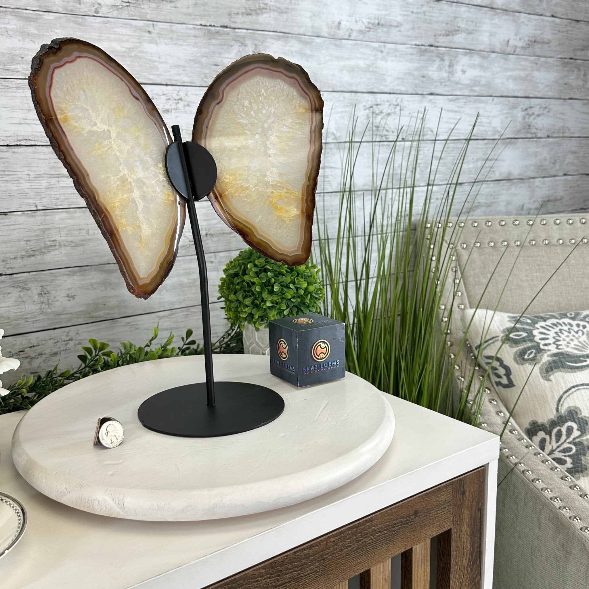Natural Brazilian Agate "Butterfly Wings", 14.2" Tall #5050NA-080 - Brazil GemsBrazil GemsNatural Brazilian Agate "Butterfly Wings", 14.2" Tall #5050NA-080Agate Butterfly Wings5050NA-080