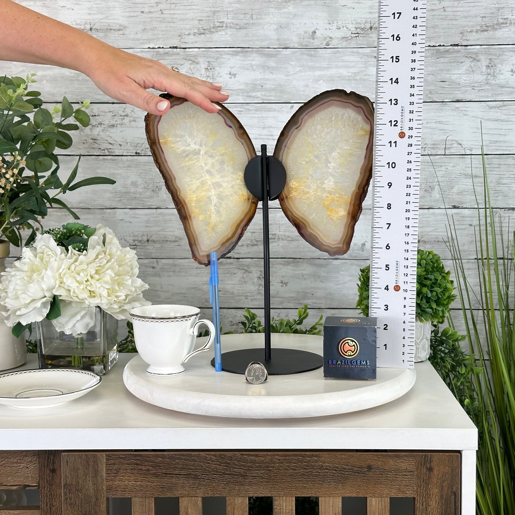 Natural Brazilian Agate "Butterfly Wings", 14.2" Tall #5050NA-080 - Brazil GemsBrazil GemsNatural Brazilian Agate "Butterfly Wings", 14.2" Tall #5050NA-080Agate Butterfly Wings5050NA-080