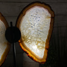 Natural Brazilian Agate "Butterfly Wings", 14.2" Tall #5050NA-080 - Brazil GemsBrazil GemsNatural Brazilian Agate "Butterfly Wings", 14.2" Tall #5050NA-080Agate Butterfly Wings5050NA-080