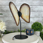 Natural Brazilian Agate "Butterfly Wings", 14.2" Tall #5050NA-080 - Brazil GemsBrazil GemsNatural Brazilian Agate "Butterfly Wings", 14.2" Tall #5050NA-080Agate Butterfly Wings5050NA-080