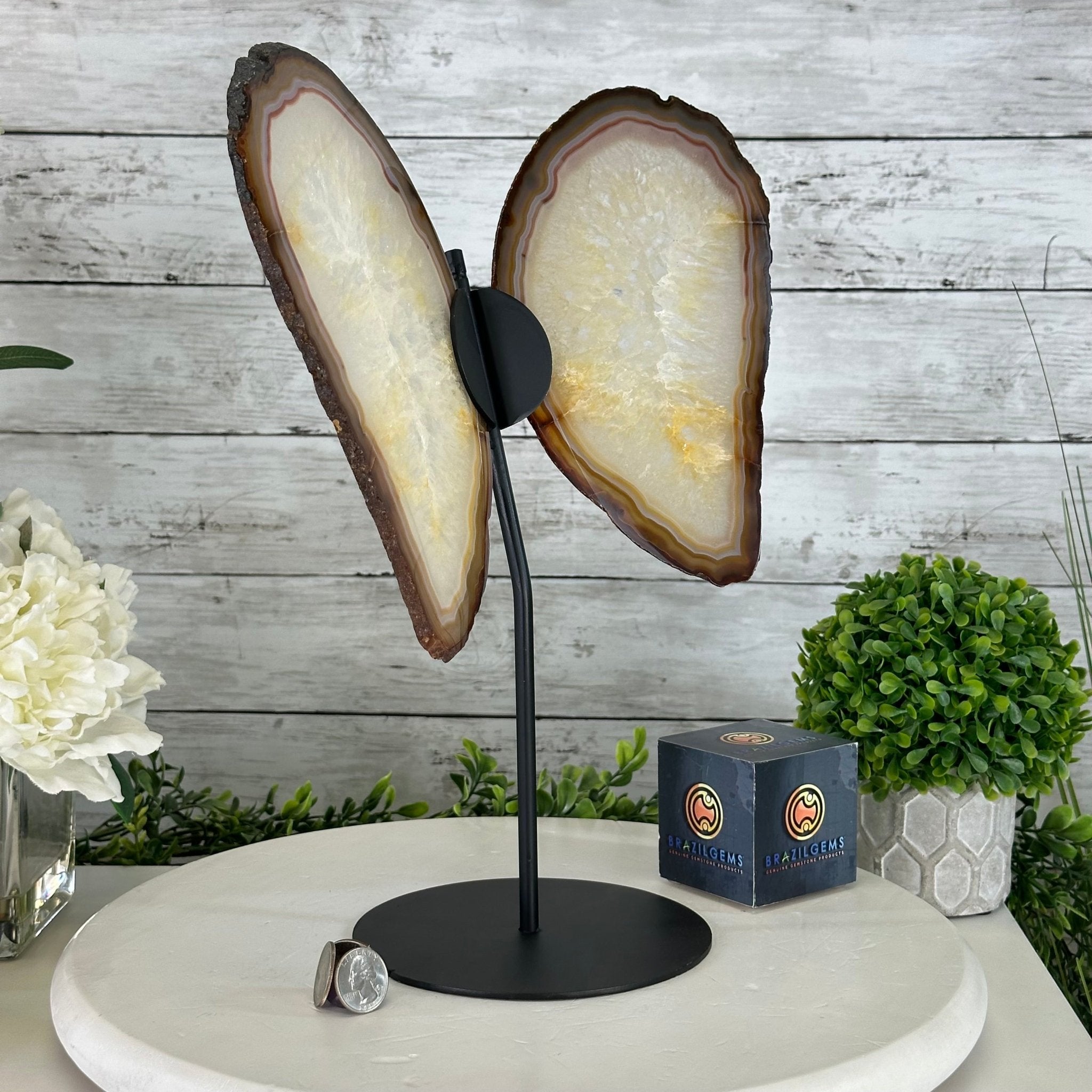 Natural Brazilian Agate "Butterfly Wings", 14.2" Tall #5050NA-080 - Brazil GemsBrazil GemsNatural Brazilian Agate "Butterfly Wings", 14.2" Tall #5050NA-080Agate Butterfly Wings5050NA-080