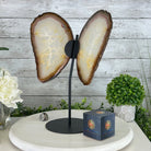 Natural Brazilian Agate "Butterfly Wings", 14.2" Tall #5050NA-080 - Brazil GemsBrazil GemsNatural Brazilian Agate "Butterfly Wings", 14.2" Tall #5050NA-080Agate Butterfly Wings5050NA-080