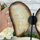 Natural Brazilian Agate "Butterfly Wings", 14.2" Tall #5050NA-080 - Brazil GemsBrazil GemsNatural Brazilian Agate "Butterfly Wings", 14.2" Tall #5050NA-080Agate Butterfly Wings5050NA-080