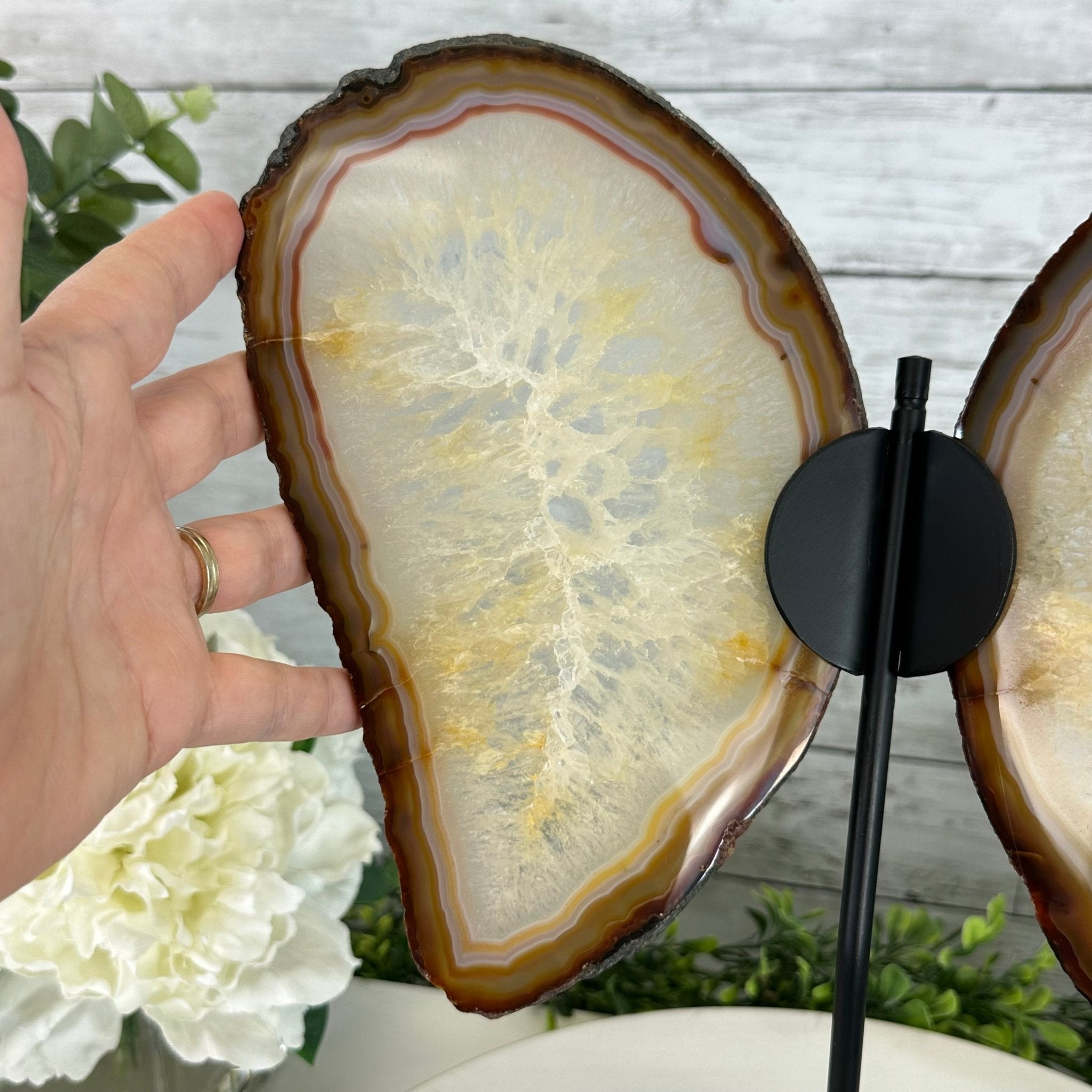 Natural Brazilian Agate "Butterfly Wings", 14.2" Tall #5050NA-080 - Brazil GemsBrazil GemsNatural Brazilian Agate "Butterfly Wings", 14.2" Tall #5050NA-080Agate Butterfly Wings5050NA-080