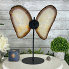 Natural Brazilian Agate "Butterfly Wings", 14.2" Tall #5050NA-080 - Brazil GemsBrazil GemsNatural Brazilian Agate "Butterfly Wings", 14.2" Tall #5050NA-080Agate Butterfly Wings5050NA-080