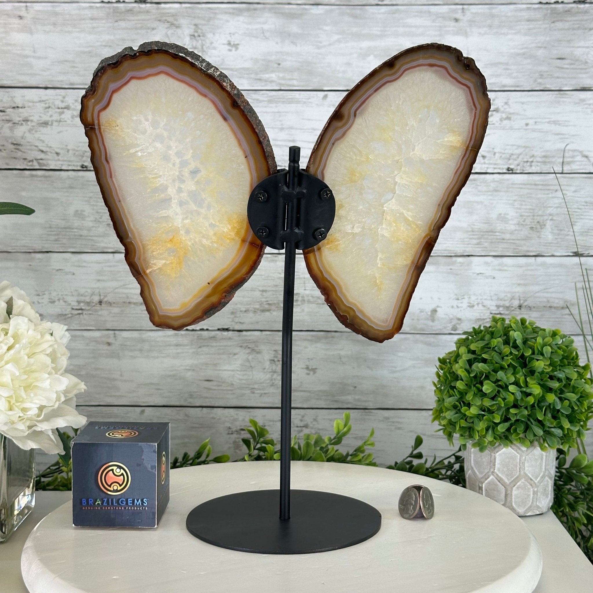 Natural Brazilian Agate "Butterfly Wings", 14.2" Tall #5050NA-080 - Brazil GemsBrazil GemsNatural Brazilian Agate "Butterfly Wings", 14.2" Tall #5050NA-080Agate Butterfly Wings5050NA-080
