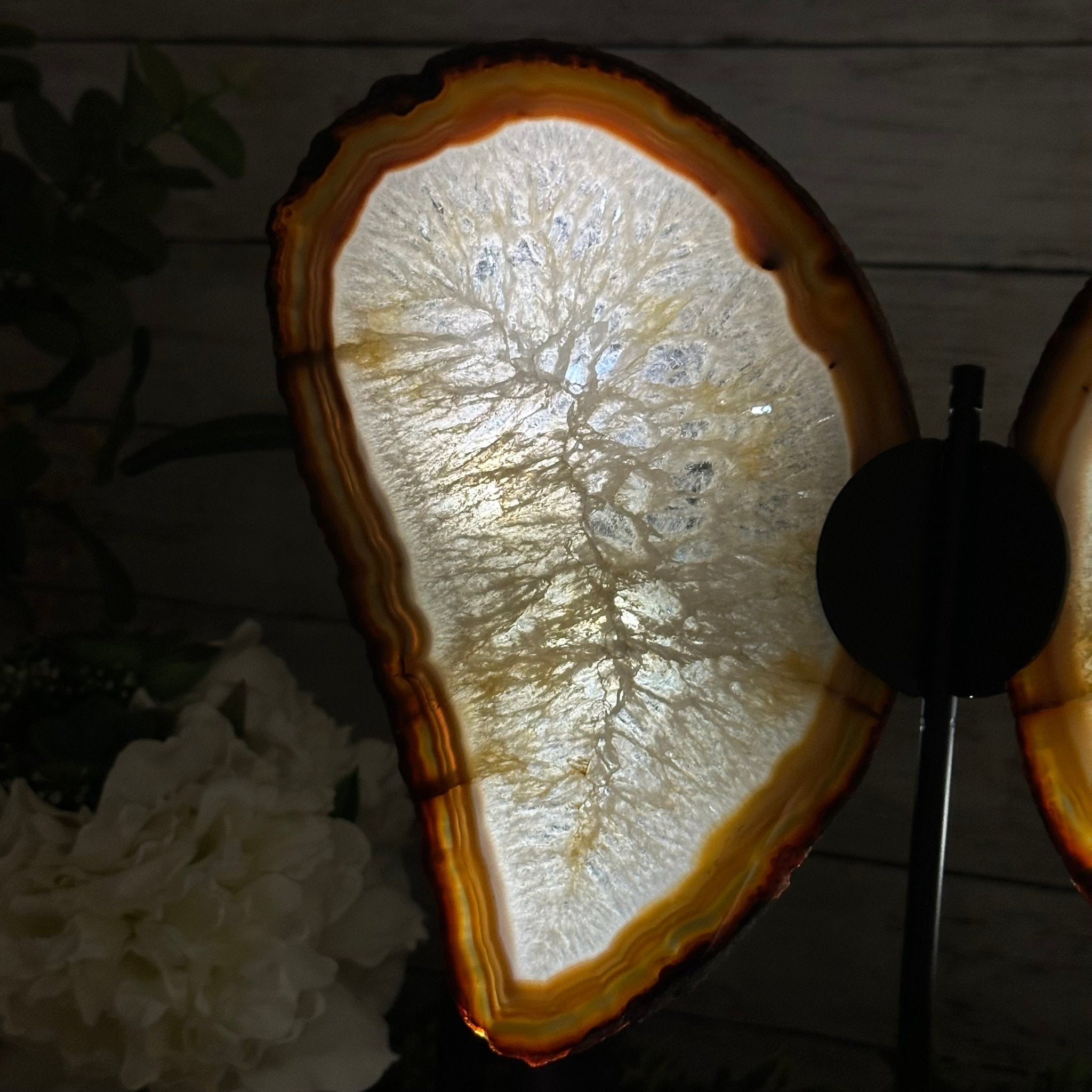 Natural Brazilian Agate "Butterfly Wings", 14.2" Tall #5050NA-080 - Brazil GemsBrazil GemsNatural Brazilian Agate "Butterfly Wings", 14.2" Tall #5050NA-080Agate Butterfly Wings5050NA-080