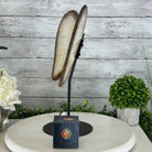 Natural Brazilian Agate "Butterfly Wings", 14.2" Tall #5050NA-080 - Brazil GemsBrazil GemsNatural Brazilian Agate "Butterfly Wings", 14.2" Tall #5050NA-080Agate Butterfly Wings5050NA-080
