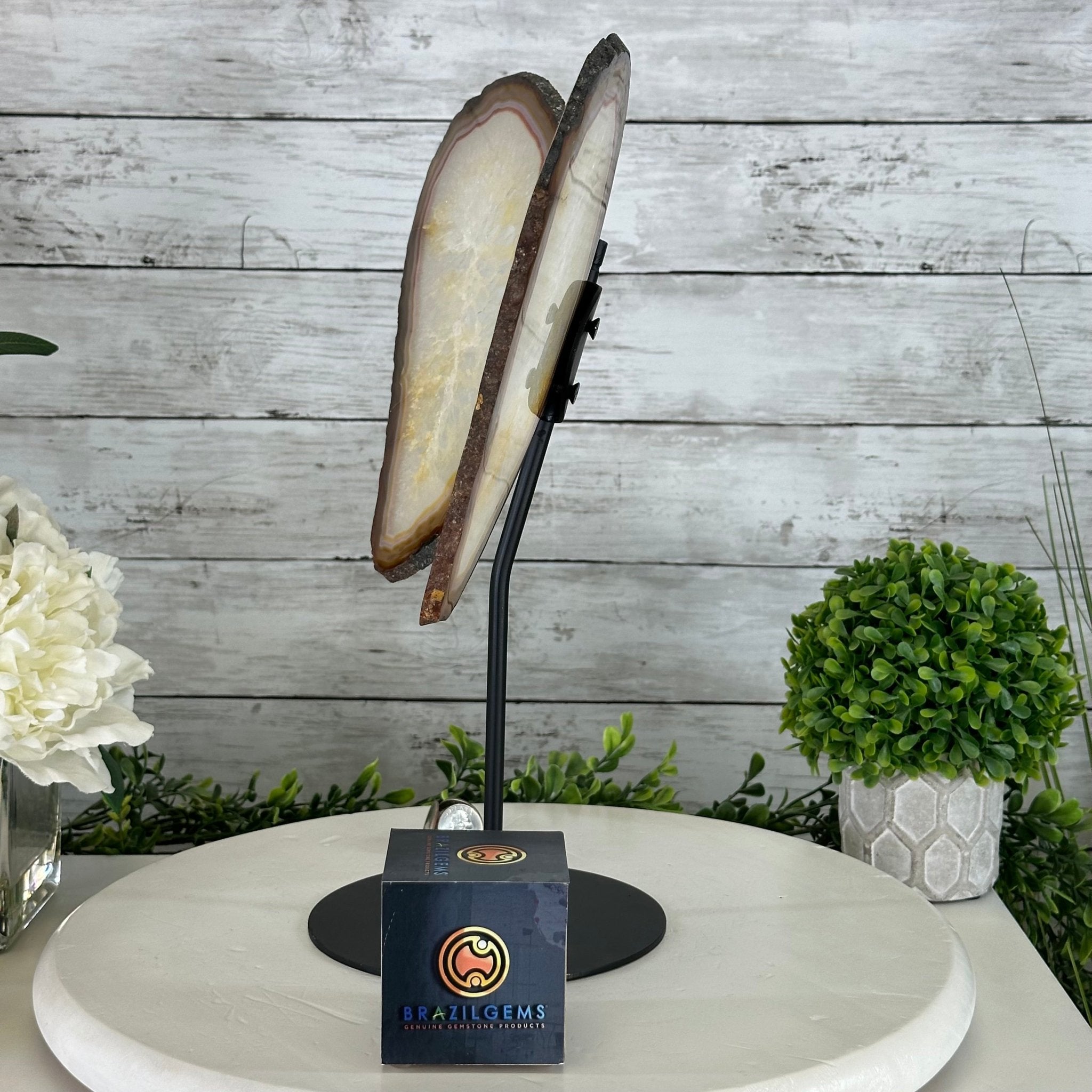 Natural Brazilian Agate "Butterfly Wings", 14.2" Tall #5050NA-080 - Brazil GemsBrazil GemsNatural Brazilian Agate "Butterfly Wings", 14.2" Tall #5050NA-080Agate Butterfly Wings5050NA-080