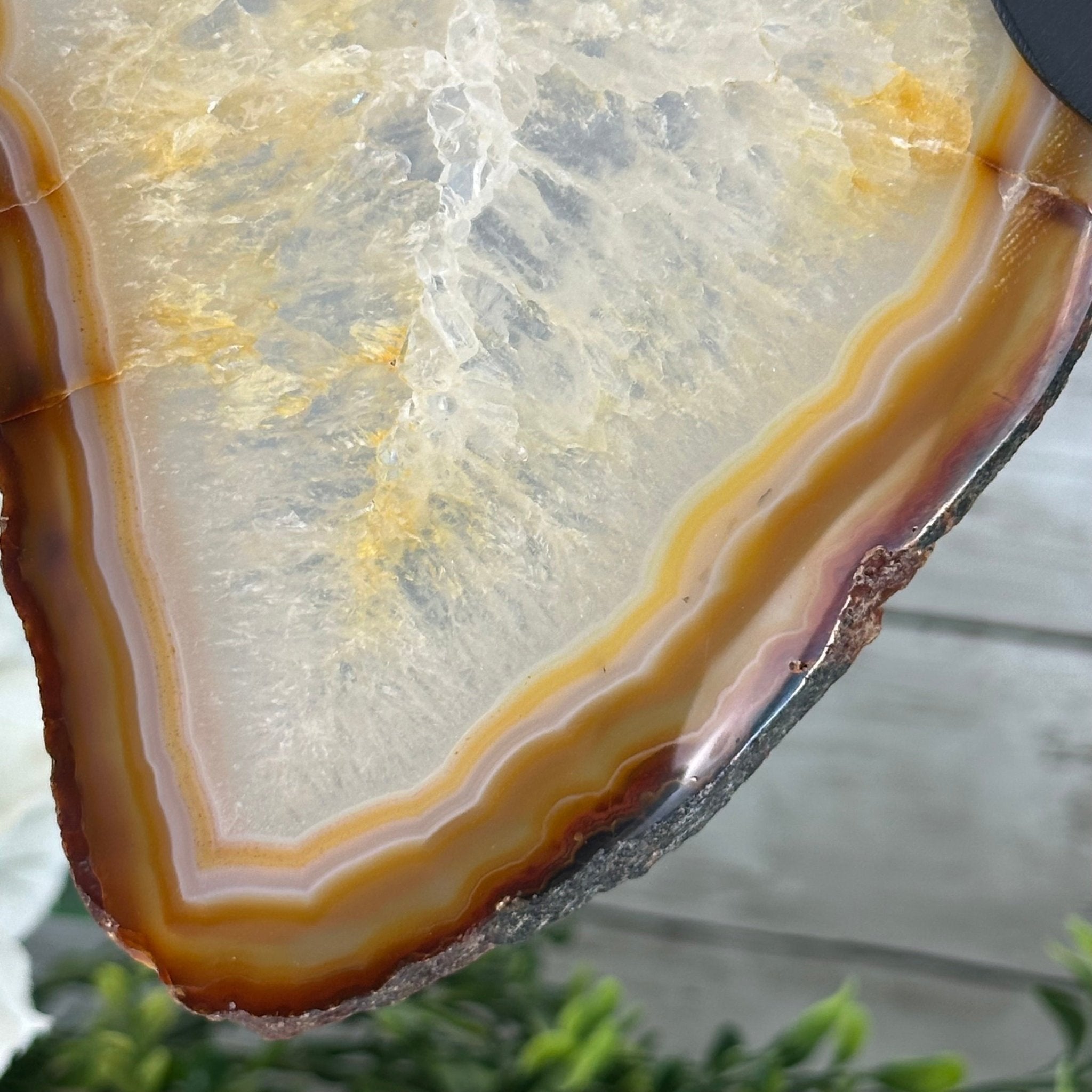 Natural Brazilian Agate "Butterfly Wings", 14.2" Tall #5050NA-080 - Brazil GemsBrazil GemsNatural Brazilian Agate "Butterfly Wings", 14.2" Tall #5050NA-080Agate Butterfly Wings5050NA-080