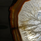 Natural Brazilian Agate "Butterfly Wings", 14.2" Tall #5050NA-080 - Brazil GemsBrazil GemsNatural Brazilian Agate "Butterfly Wings", 14.2" Tall #5050NA-080Agate Butterfly Wings5050NA-080