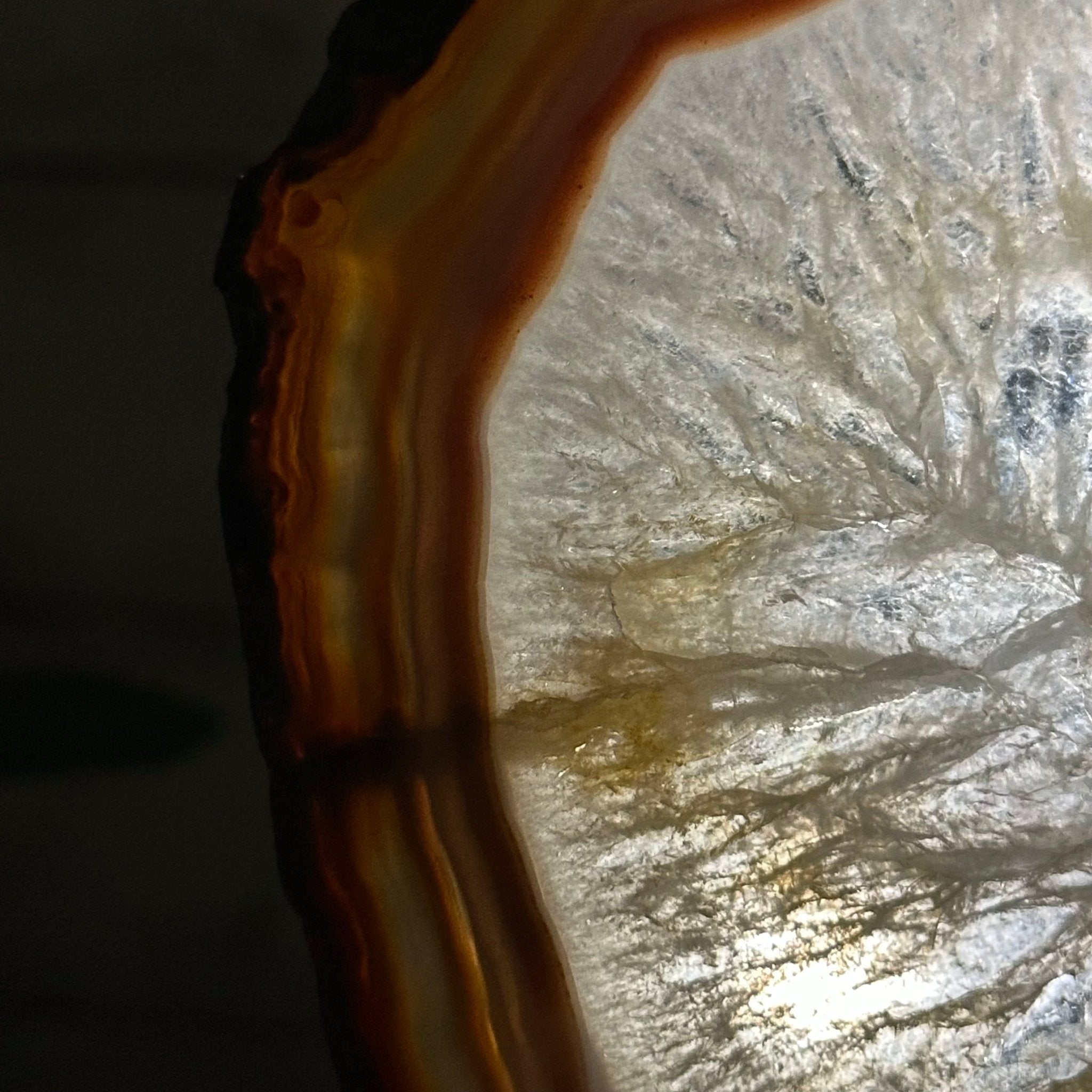 Natural Brazilian Agate "Butterfly Wings", 14.2" Tall #5050NA-080 - Brazil GemsBrazil GemsNatural Brazilian Agate "Butterfly Wings", 14.2" Tall #5050NA-080Agate Butterfly Wings5050NA-080