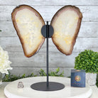 Natural Brazilian Agate "Butterfly Wings", 14.2" Tall #5050NA-080 - Brazil GemsBrazil GemsNatural Brazilian Agate "Butterfly Wings", 14.2" Tall #5050NA-080Agate Butterfly Wings5050NA-080