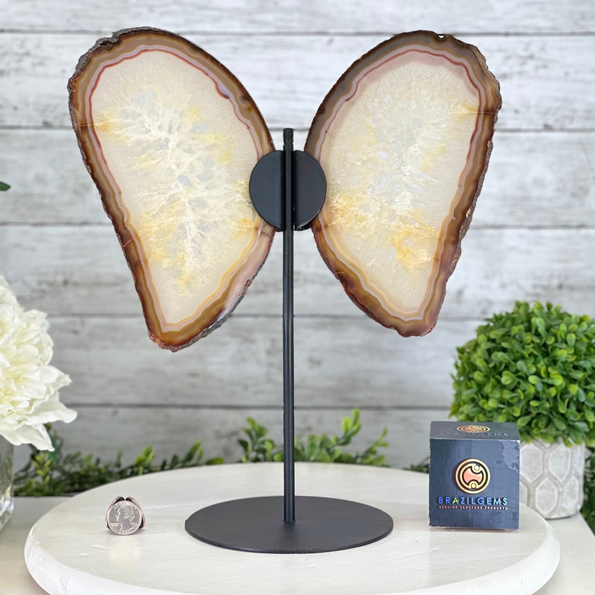 Natural Brazilian Agate "Butterfly Wings", 14.2" Tall #5050NA-080 - Brazil GemsBrazil GemsNatural Brazilian Agate "Butterfly Wings", 14.2" Tall #5050NA-080Agate Butterfly Wings5050NA-080