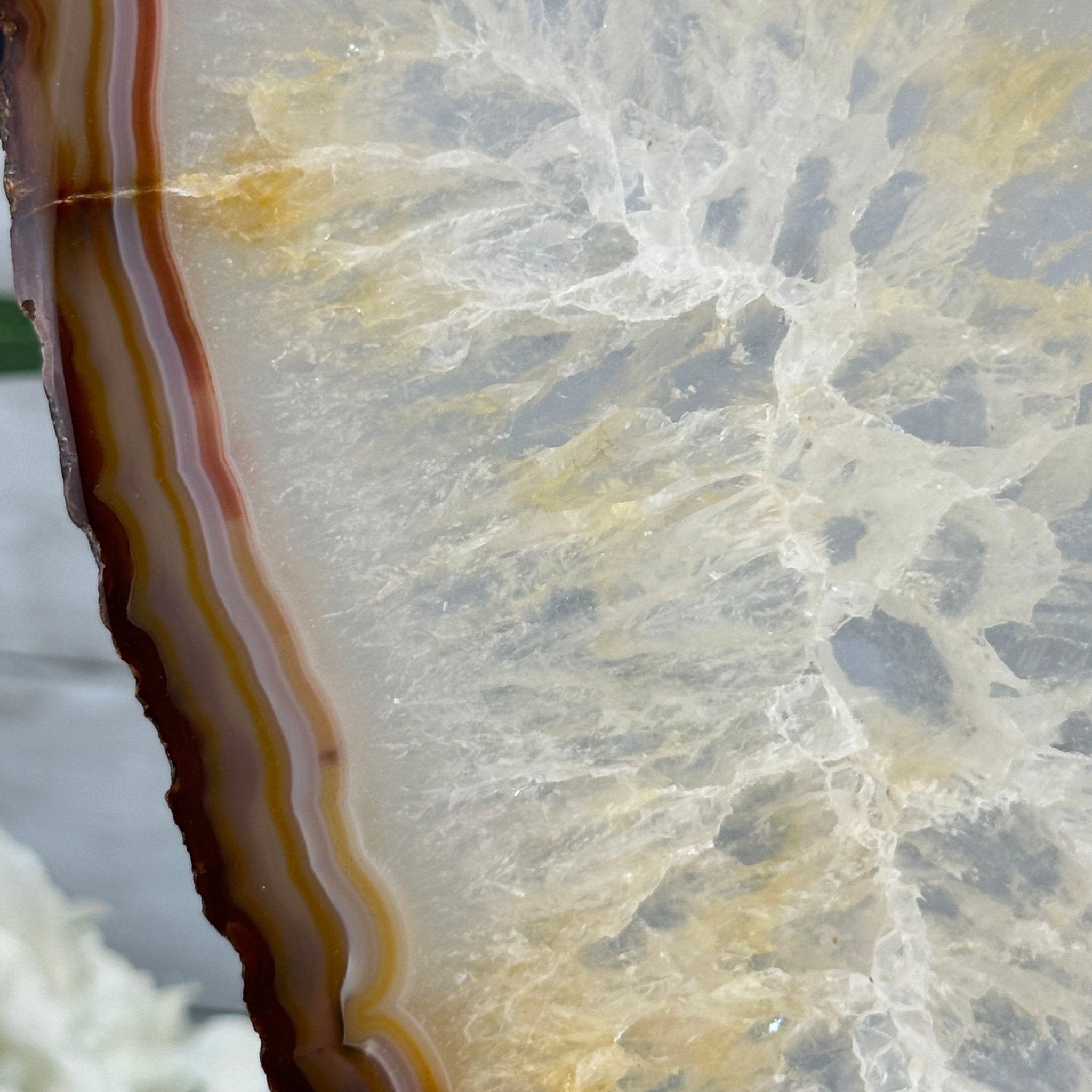 Natural Brazilian Agate "Butterfly Wings", 14.2" Tall #5050NA-080 - Brazil GemsBrazil GemsNatural Brazilian Agate "Butterfly Wings", 14.2" Tall #5050NA-080Agate Butterfly Wings5050NA-080