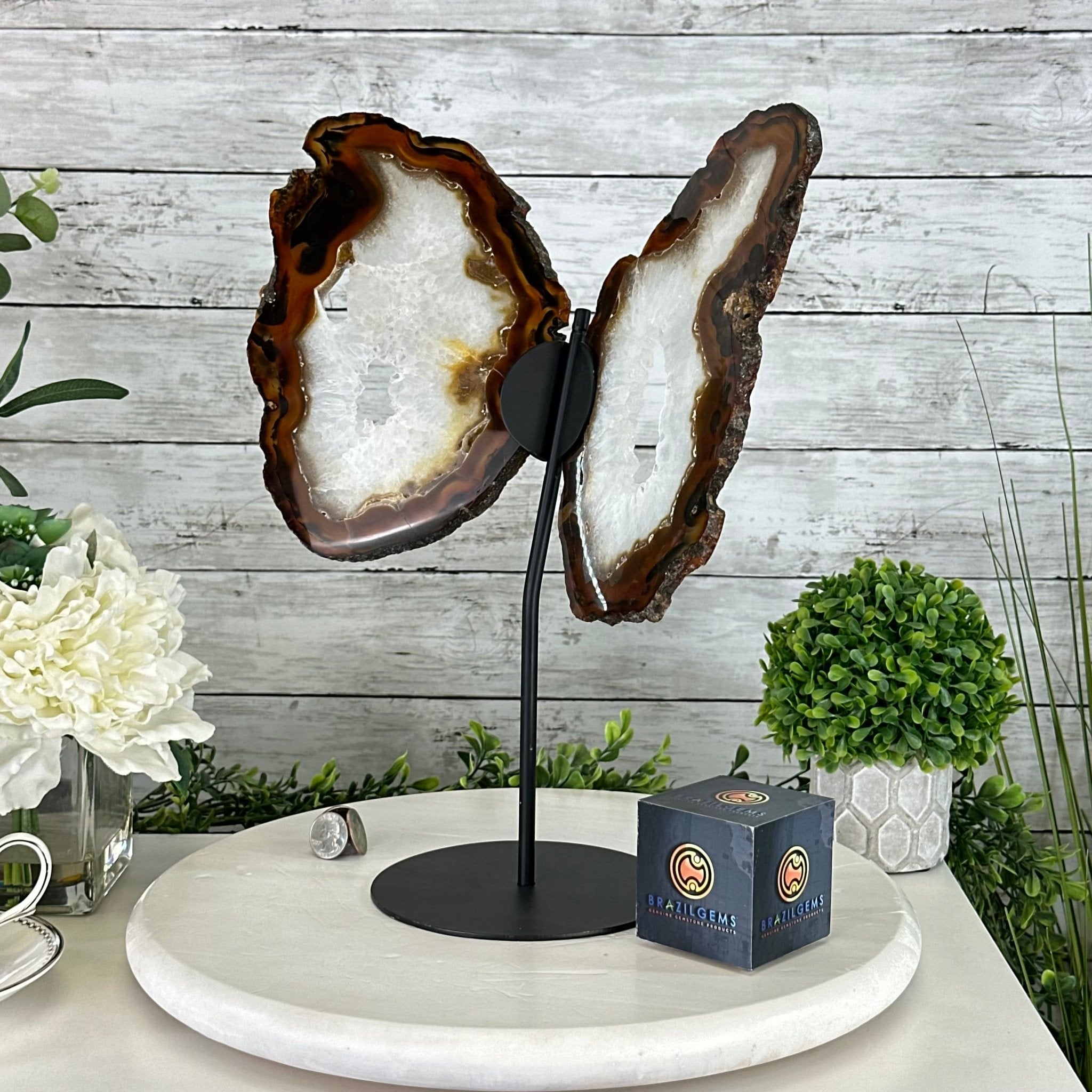 Natural Brazilian Agate "Butterfly Wings", 15" Tall #5050NA-083 - Brazil GemsBrazil GemsNatural Brazilian Agate "Butterfly Wings", 15" Tall #5050NA-083Agate Butterfly Wings5050NA-083