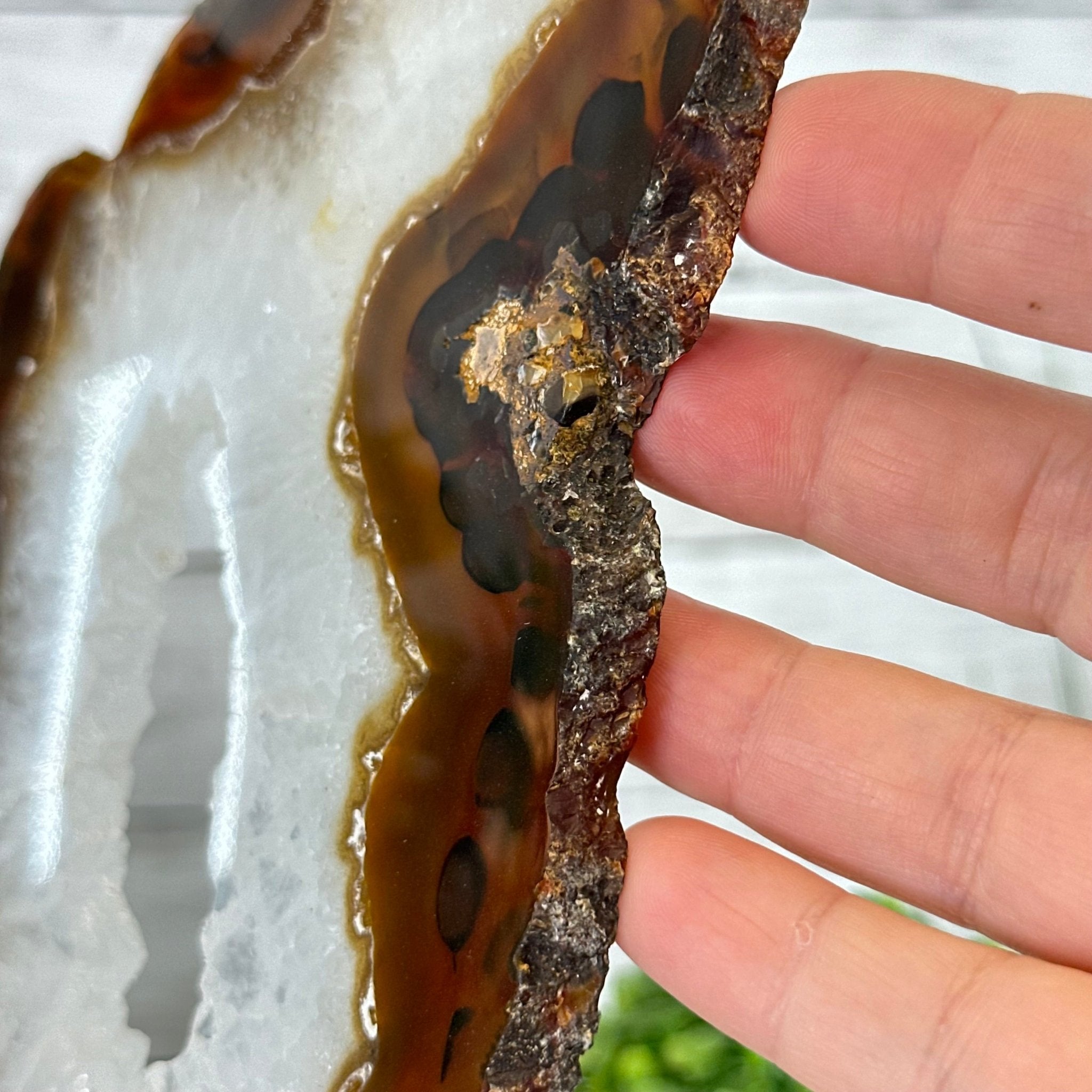 Natural Brazilian Agate "Butterfly Wings", 15" Tall #5050NA-083 - Brazil GemsBrazil GemsNatural Brazilian Agate "Butterfly Wings", 15" Tall #5050NA-083Agate Butterfly Wings5050NA-083