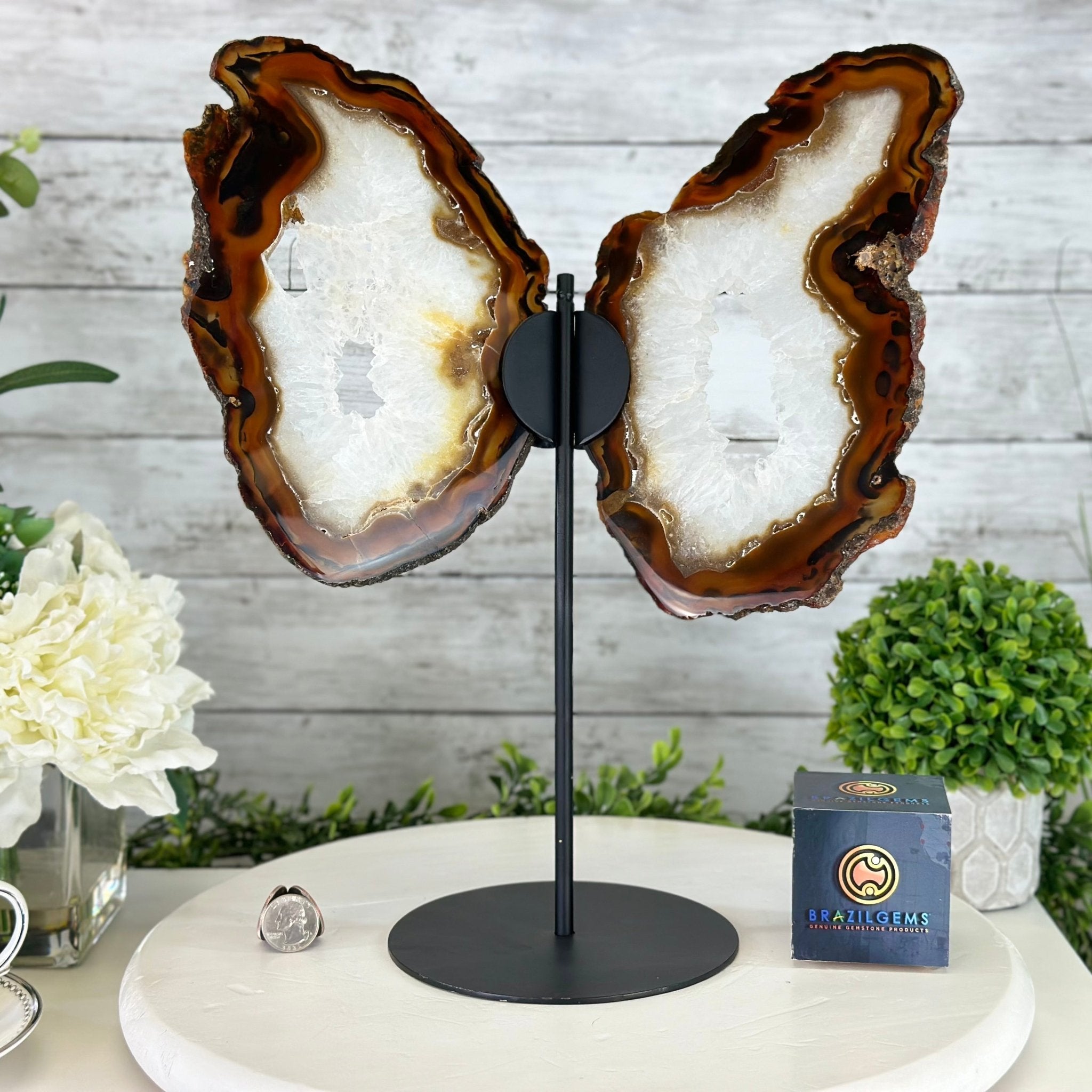 Natural Brazilian Agate "Butterfly Wings", 15" Tall #5050NA-083 - Brazil GemsBrazil GemsNatural Brazilian Agate "Butterfly Wings", 15" Tall #5050NA-083Agate Butterfly Wings5050NA-083
