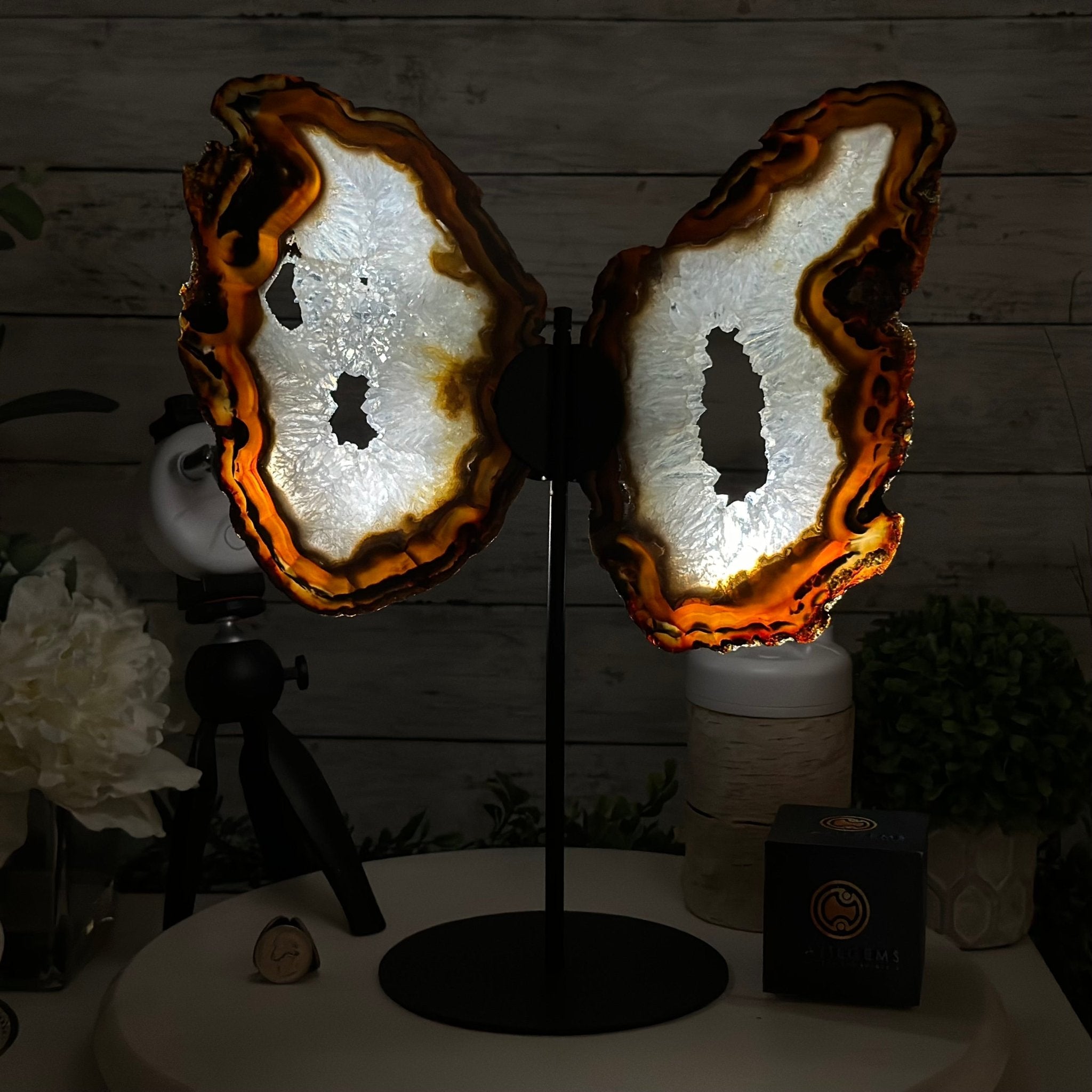 Natural Brazilian Agate "Butterfly Wings", 15" Tall #5050NA-083 - Brazil GemsBrazil GemsNatural Brazilian Agate "Butterfly Wings", 15" Tall #5050NA-083Agate Butterfly Wings5050NA-083