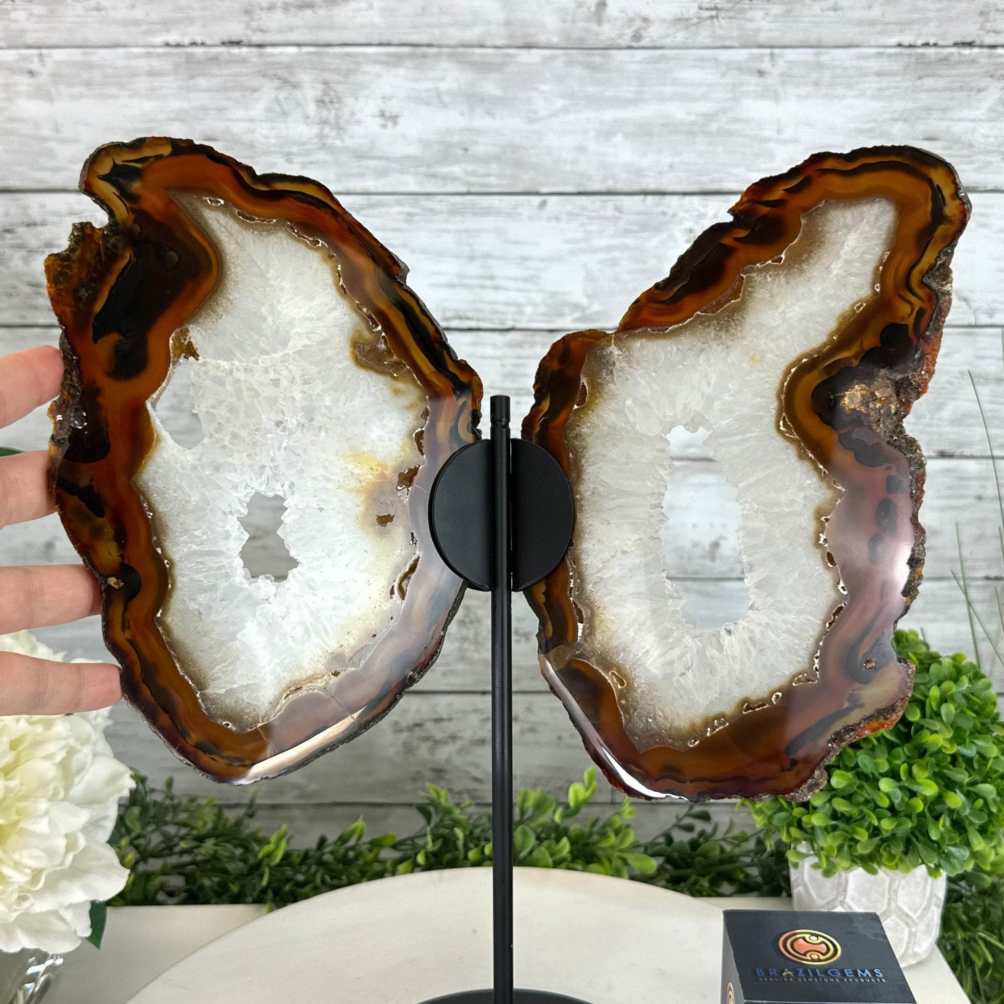 Natural Brazilian Agate "Butterfly Wings", 15" Tall #5050NA-083 - Brazil GemsBrazil GemsNatural Brazilian Agate "Butterfly Wings", 15" Tall #5050NA-083Agate Butterfly Wings5050NA-083