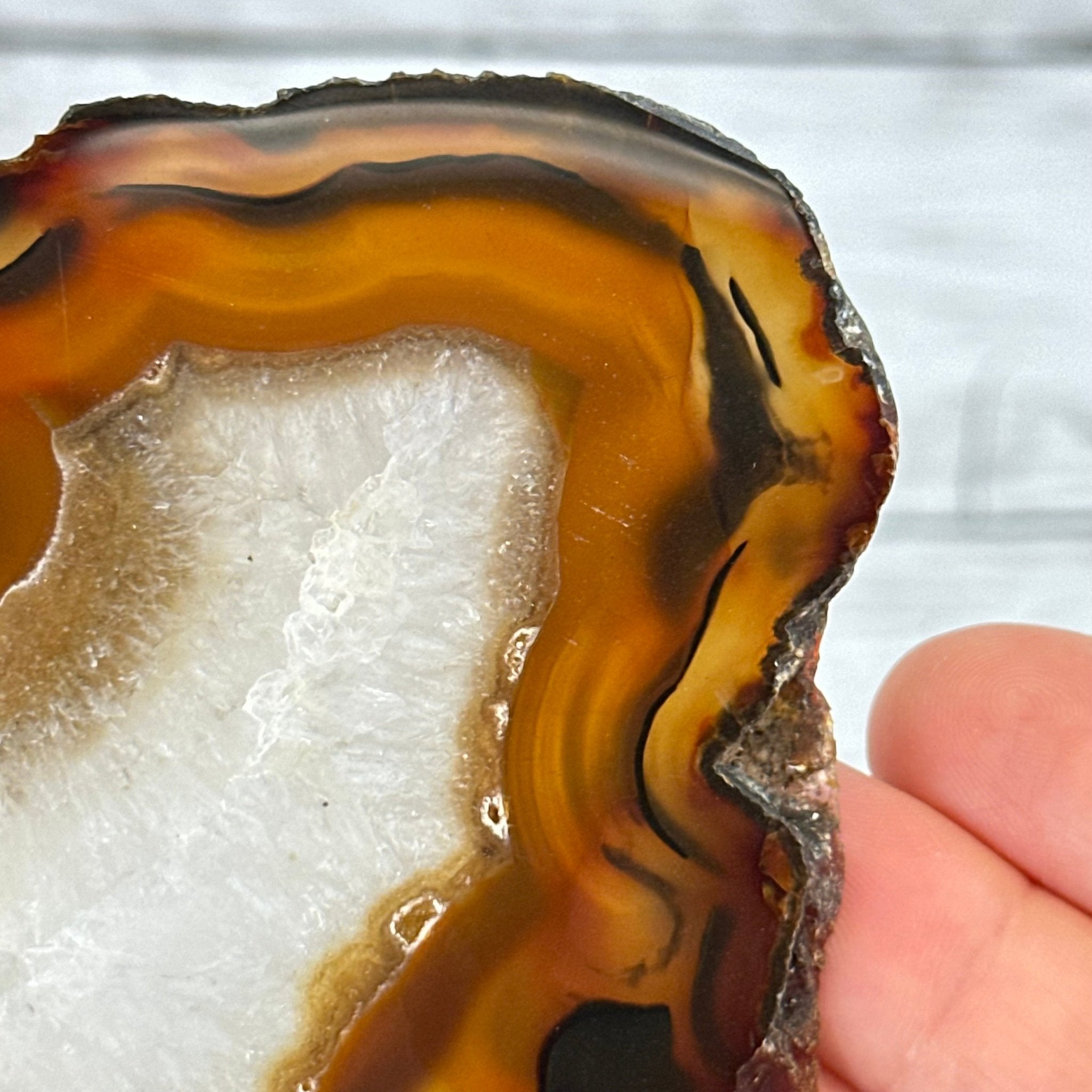 Natural Brazilian Agate "Butterfly Wings", 15" Tall #5050NA-083 - Brazil GemsBrazil GemsNatural Brazilian Agate "Butterfly Wings", 15" Tall #5050NA-083Agate Butterfly Wings5050NA-083