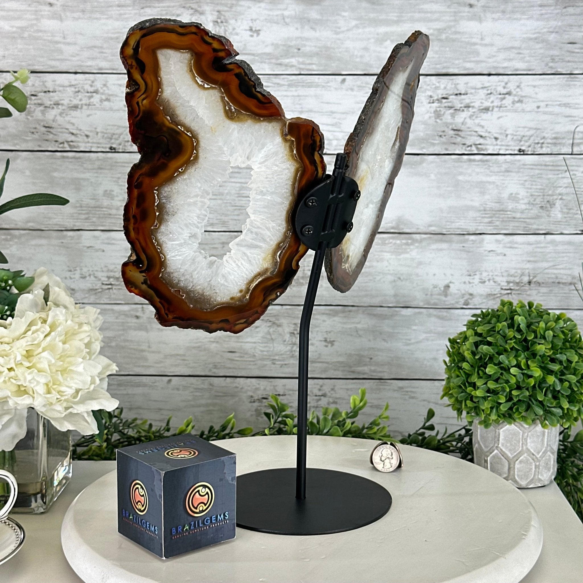 Natural Brazilian Agate "Butterfly Wings", 15" Tall #5050NA-083 - Brazil GemsBrazil GemsNatural Brazilian Agate "Butterfly Wings", 15" Tall #5050NA-083Agate Butterfly Wings5050NA-083