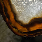 Natural Brazilian Agate "Butterfly Wings", 15" Tall #5050NA-083 - Brazil GemsBrazil GemsNatural Brazilian Agate "Butterfly Wings", 15" Tall #5050NA-083Agate Butterfly Wings5050NA-083