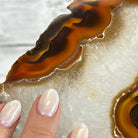 Natural Brazilian Agate "Butterfly Wings", 15" Tall #5050NA-083 - Brazil GemsBrazil GemsNatural Brazilian Agate "Butterfly Wings", 15" Tall #5050NA-083Agate Butterfly Wings5050NA-083