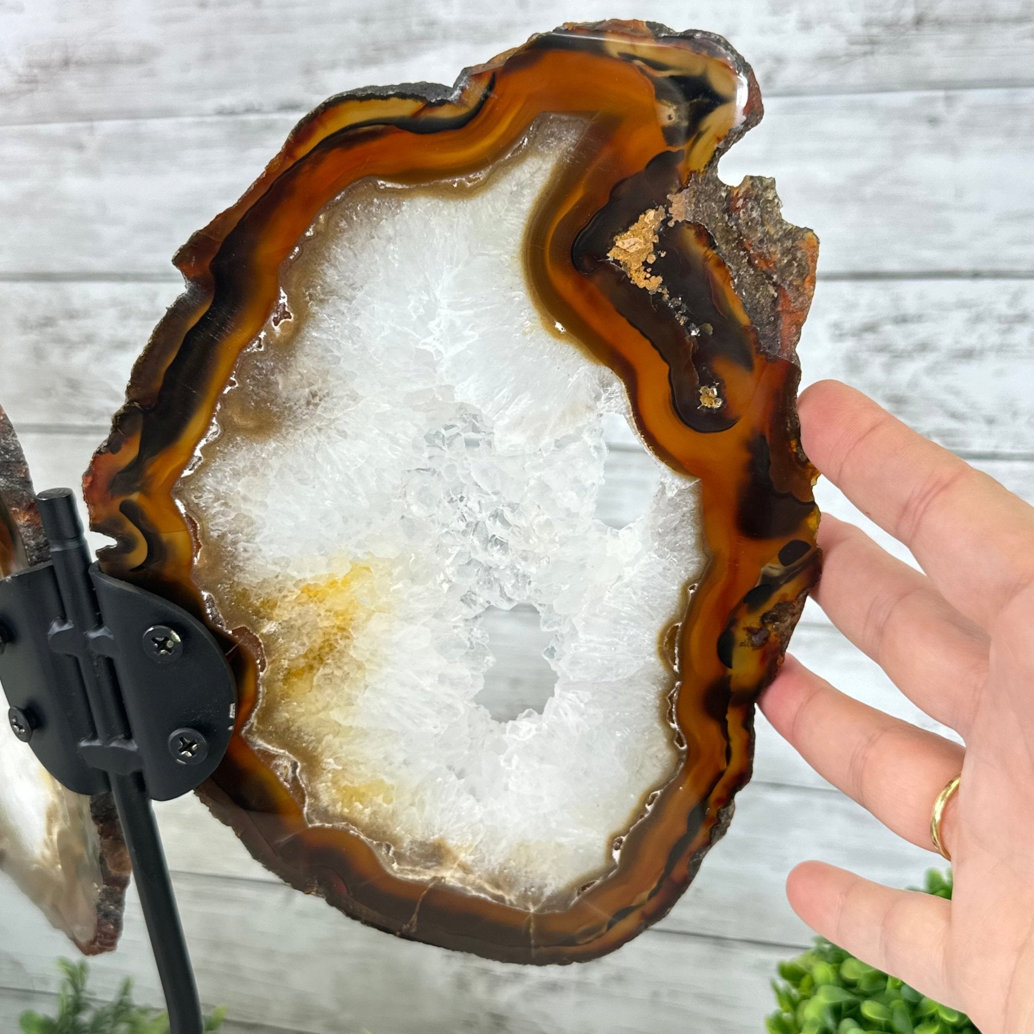 Natural Brazilian Agate "Butterfly Wings", 15" Tall #5050NA-083 - Brazil GemsBrazil GemsNatural Brazilian Agate "Butterfly Wings", 15" Tall #5050NA-083Agate Butterfly Wings5050NA-083