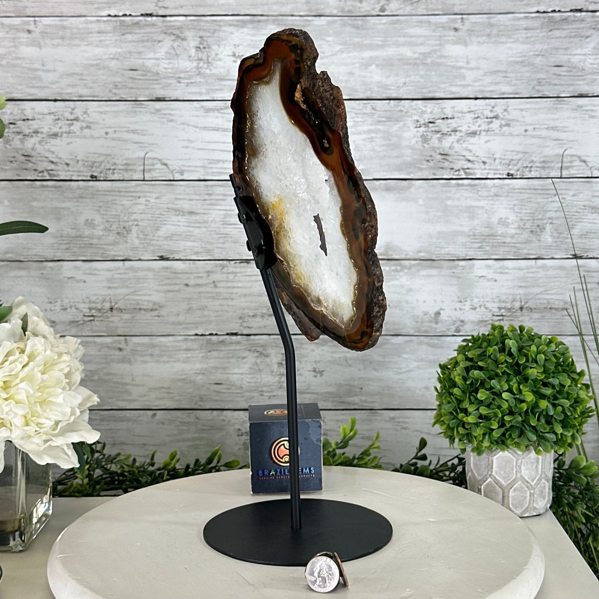Natural Brazilian Agate "Butterfly Wings", 15" Tall #5050NA-083 - Brazil GemsBrazil GemsNatural Brazilian Agate "Butterfly Wings", 15" Tall #5050NA-083Agate Butterfly Wings5050NA-083