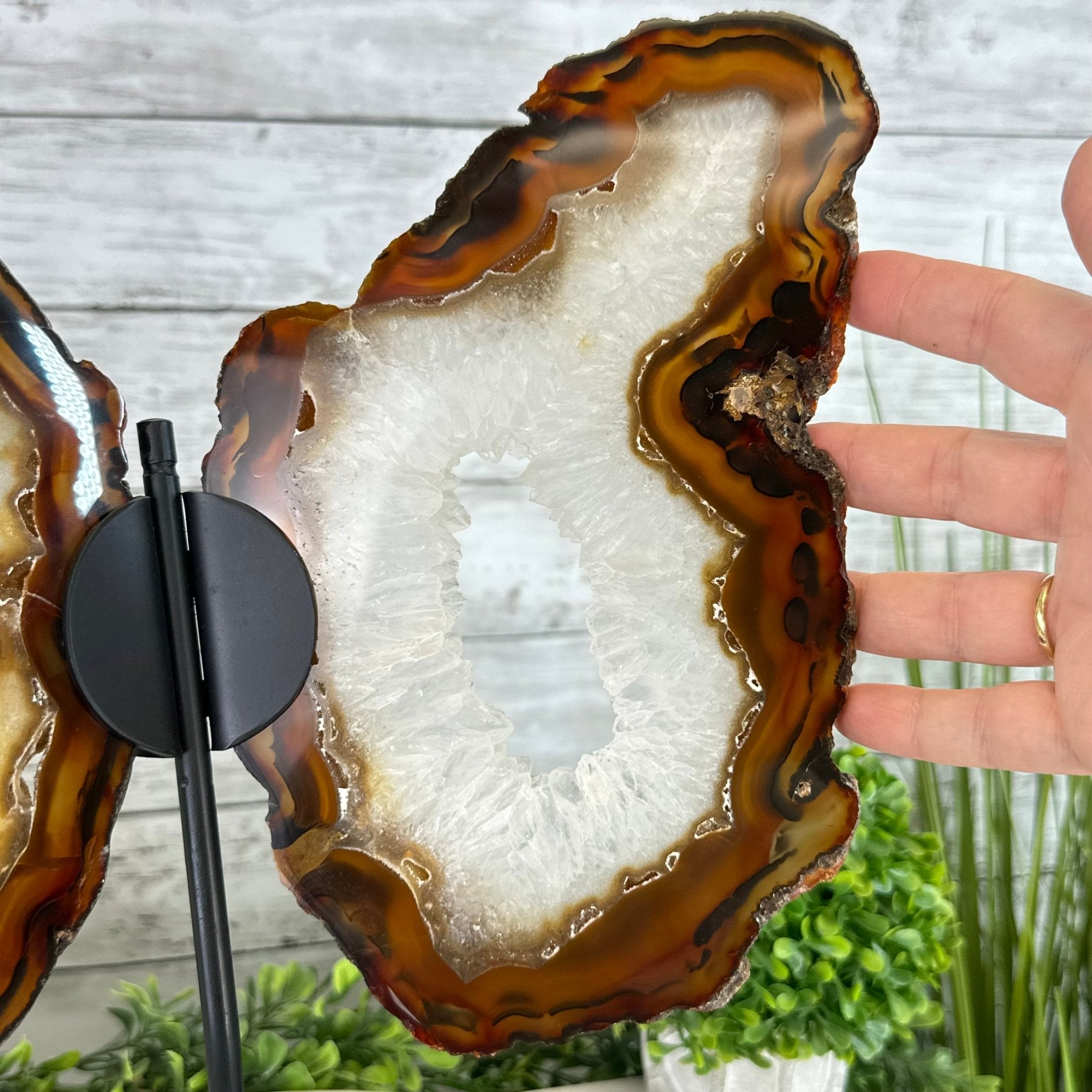 Natural Brazilian Agate "Butterfly Wings", 15" Tall #5050NA-083 - Brazil GemsBrazil GemsNatural Brazilian Agate "Butterfly Wings", 15" Tall #5050NA-083Agate Butterfly Wings5050NA-083
